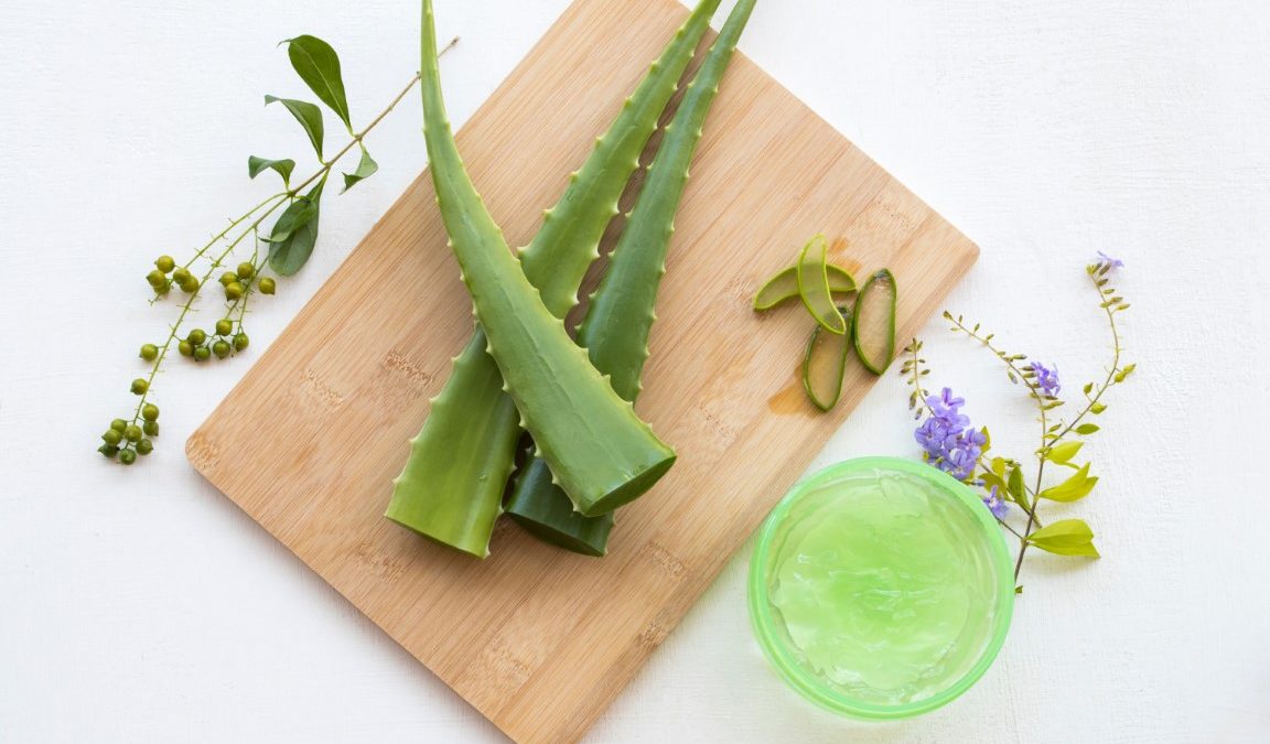 Masque visage à l’Aloe vera : avantages, bienfaits et recettes maison