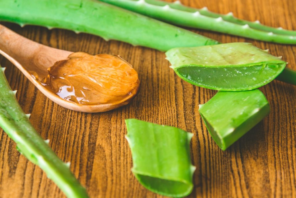 Masque visage à l'Aloe vera : avantages, bienfaits et recettes maison