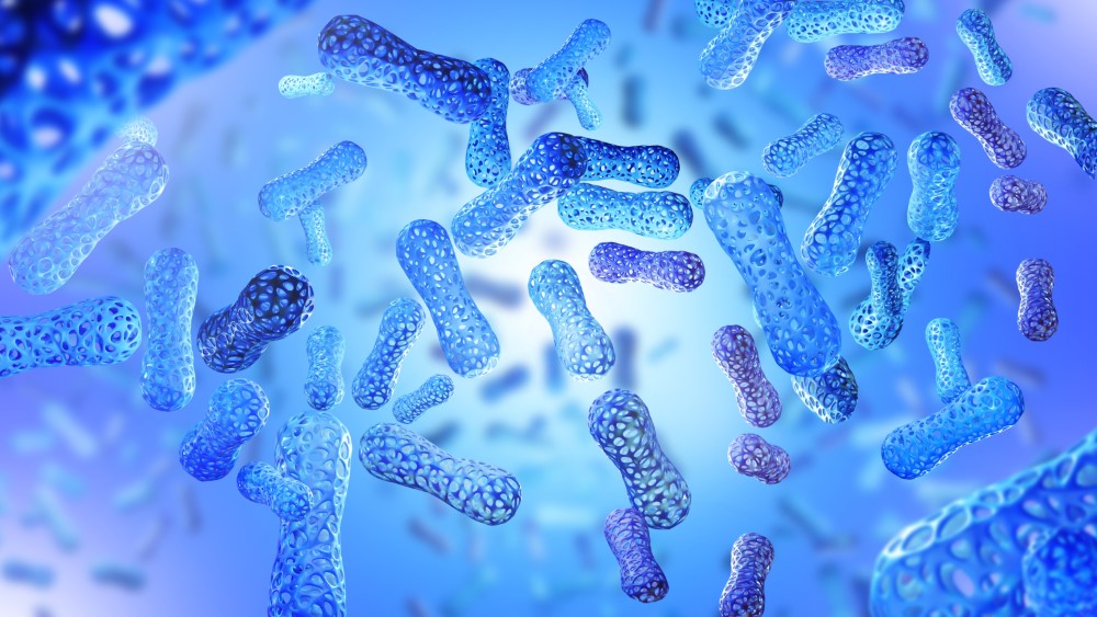 Comment améliorer son microbiome intestinal simplement